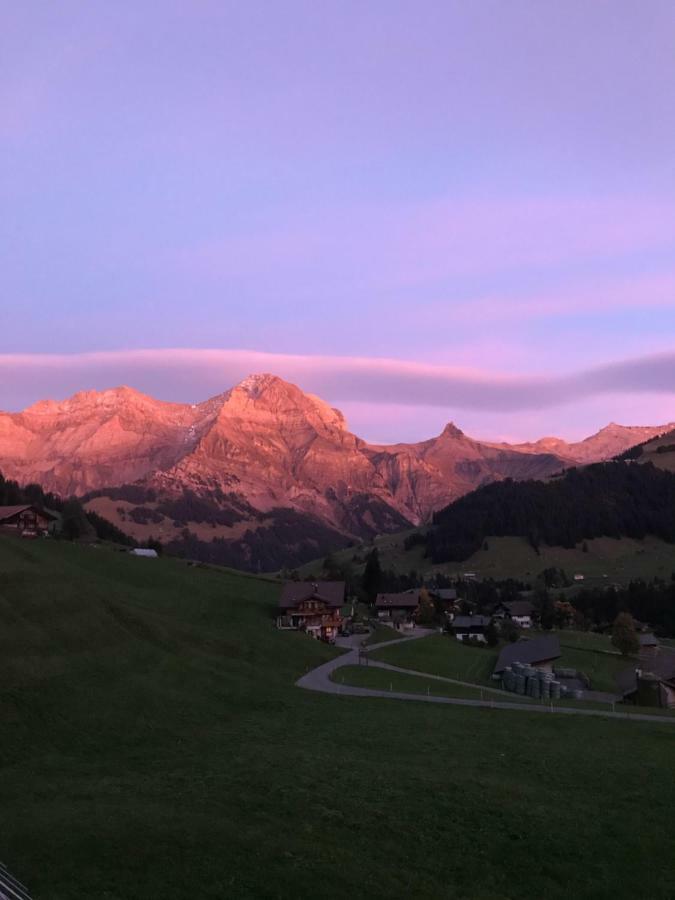 Abelied Hotel Adelboden Luaran gambar